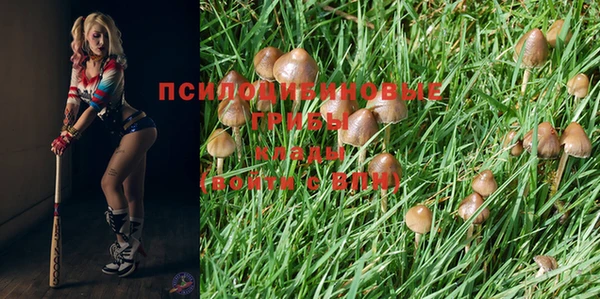 первитин Корсаков