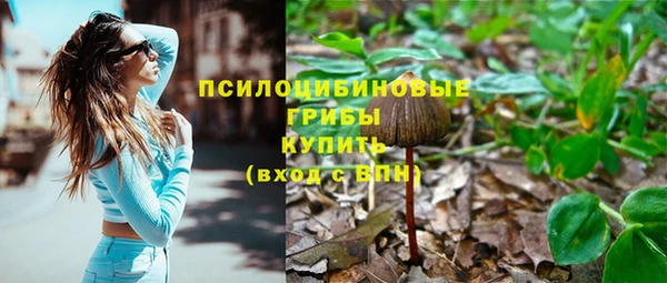 первитин Костерёво